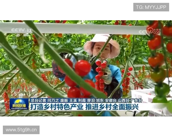 新时代背景下农业企业家引领乡村振兴与产业融合发展路径研究